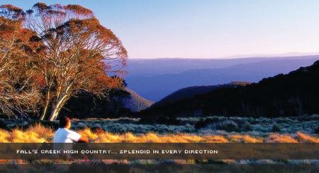 Alpine View Apartments - eAccommodation 1