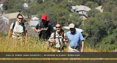 Alpine View Apartments - eAccommodation 3