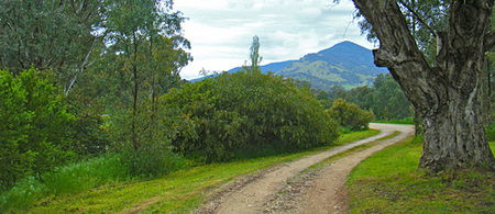 Baranduda Homestead - eAccommodation 1