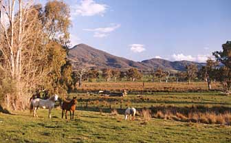 Baranduda Homestead - eAccommodation 5