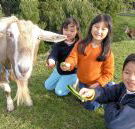 Johanna River Farm and Cottages - eAccommodation