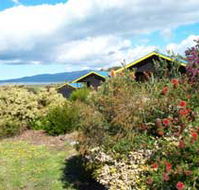 Black Cockatoo Cottages - eAccommodation