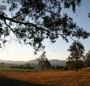 Cann River Rainforest Caravan Park - eAccommodation