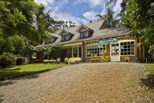 Curtis Falls Mountain Retreat - eAccommodation 0