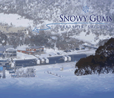 Snowy Gums Chalet - eAccommodation