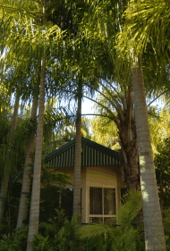BIG4 Tropical Wanderer Resort - eAccommodation 0