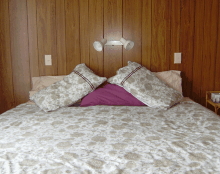 Lady Barron Holiday House - eAccommodation 2