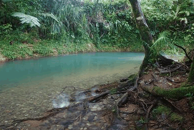 Diwan QLD eAccommodation