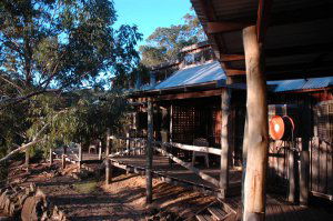 Evedon Park Bush Resort - eAccommodation 1
