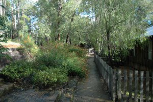 Evedon Park Bush Resort - eAccommodation 2