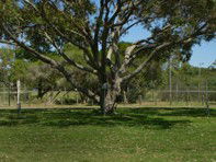 Hawks Nest Holiday Park - eAccommodation 3