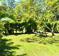 Wooli Caravan Park - eAccommodation