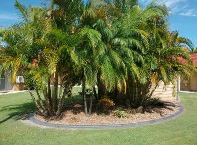 Yamba Motor Inn - eAccommodation 5