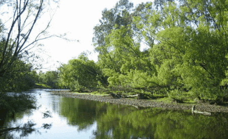 Ribbonwood Cottages - eAccommodation