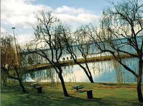 Lake Mulwala Holiday Park - thumb 2