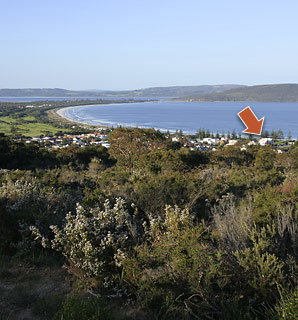 The Castlereagh 4 - eAccommodation 4