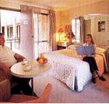 Sydney Palm Court Motor Inn - eAccommodation