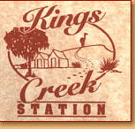 Kings Creek Station - eAccommodation