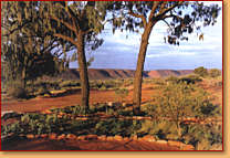 Kings Creek Station - eAccommodation 1