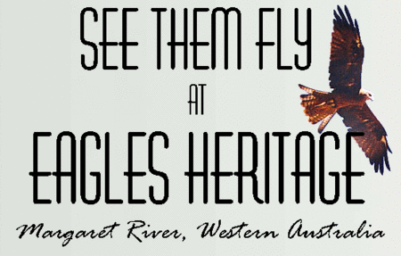 Eagles Heritage Raptor Wildlife Centre - eAccommodation