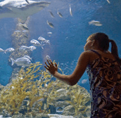 The Aquarium of Western Australia - eAccommodation