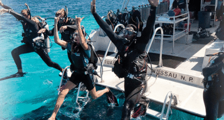 Snorkel Safari Brisbane - eAccommodation