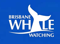 Brisbane Whale Watching - eAccommodation 3