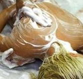 Exotique Massage - eAccommodation