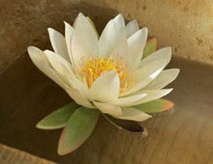 St Georges Natural Health Therapies - eAccommodation 3