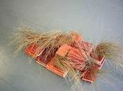 Brunswick Arts - eAccommodation 2