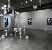 Nellie Castan Gallery - eAccommodation