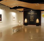 Counihan Gallery In Brunswick - eAccommodation
