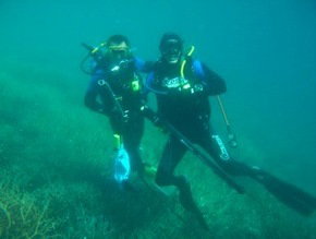 Pelican Charters - eAccommodation 1