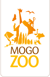 Mogo Zoo - eAccommodation 0