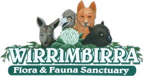 Wirrimbirra Sanctuary - eAccommodation 0