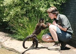 National Zoo & Aquarium - eAccommodation 1