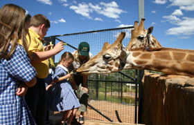 National Zoo & Aquarium - eAccommodation 2