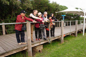 Phillip Island Penguin Parade - eAccommodation 1