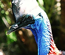 Alma Park Zoo - eAccommodation 0
