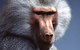 Alma Park Zoo - thumb 1