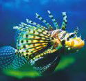 Underwater World - eAccommodation