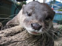 Underwater World - eAccommodation 1