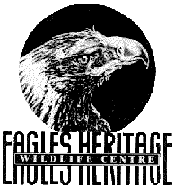 Eagles Heritage - eAccommodation
