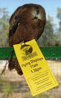 Eagles Heritage - eAccommodation 1