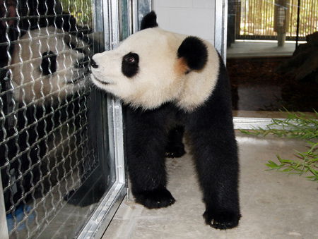 Adelaide Zoo - eAccommodation 3