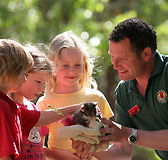 Cleland Wildlife Park - eAccommodation