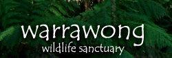 Warrawong Wildlife Park - eAccommodation 0