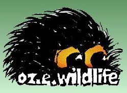 OZe Wildlife - eAccommodation 0