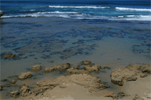 Braddon ACT eAccommodation