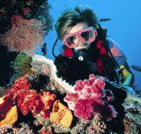 Gold Coast Seaway Dive Site - eAccommodation